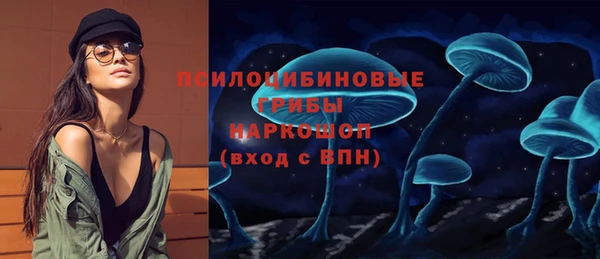 дживик Новозыбков