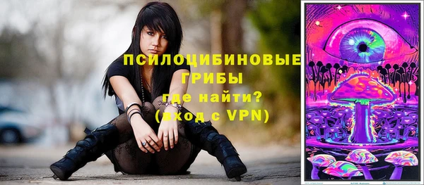 дживик Новозыбков