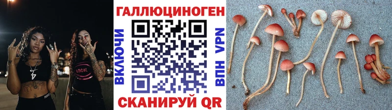 Псилоцибиновые грибы Psilocybe  хочу наркоту  Ветлуга 